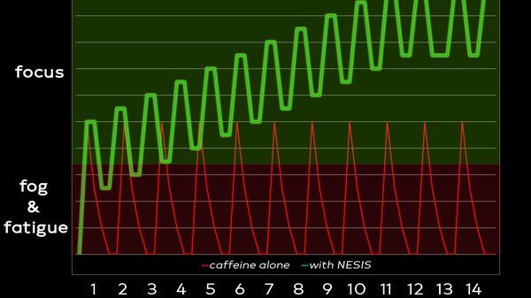 Steady State and Maintaining the Daily Routine