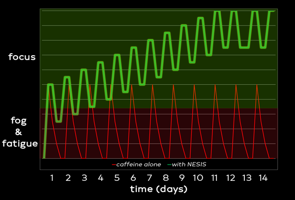 Steady State and Maintaining the Daily Routine
